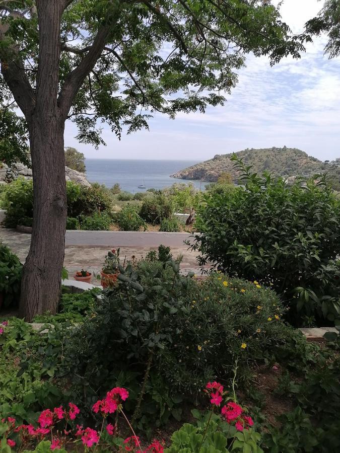 Studios Ioanna Limnionas Samos Marathókampos Extérieur photo
