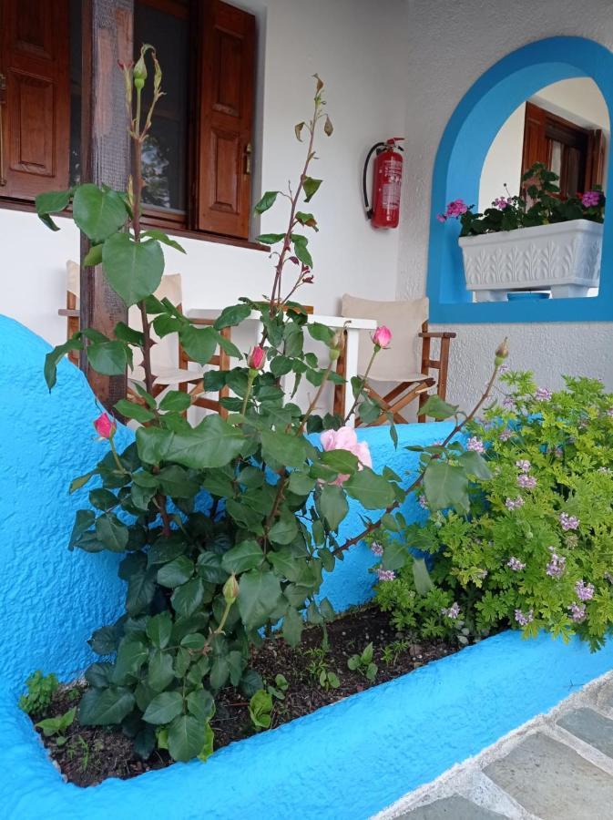 Studios Ioanna Limnionas Samos Marathókampos Extérieur photo