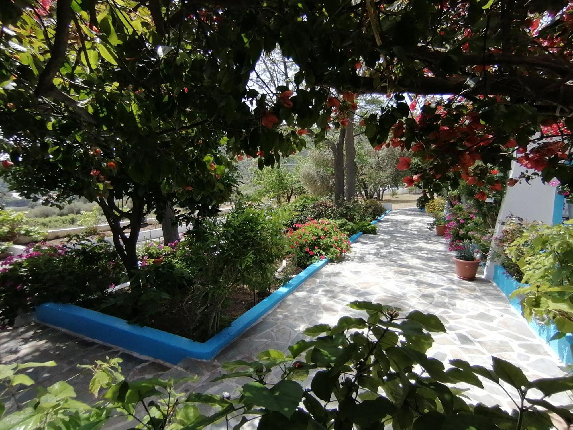 Studios Ioanna Limnionas Samos Marathókampos Extérieur photo