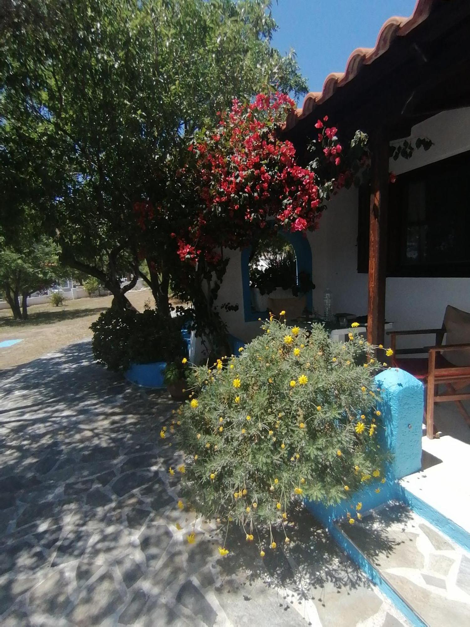 Studios Ioanna Limnionas Samos Marathókampos Extérieur photo
