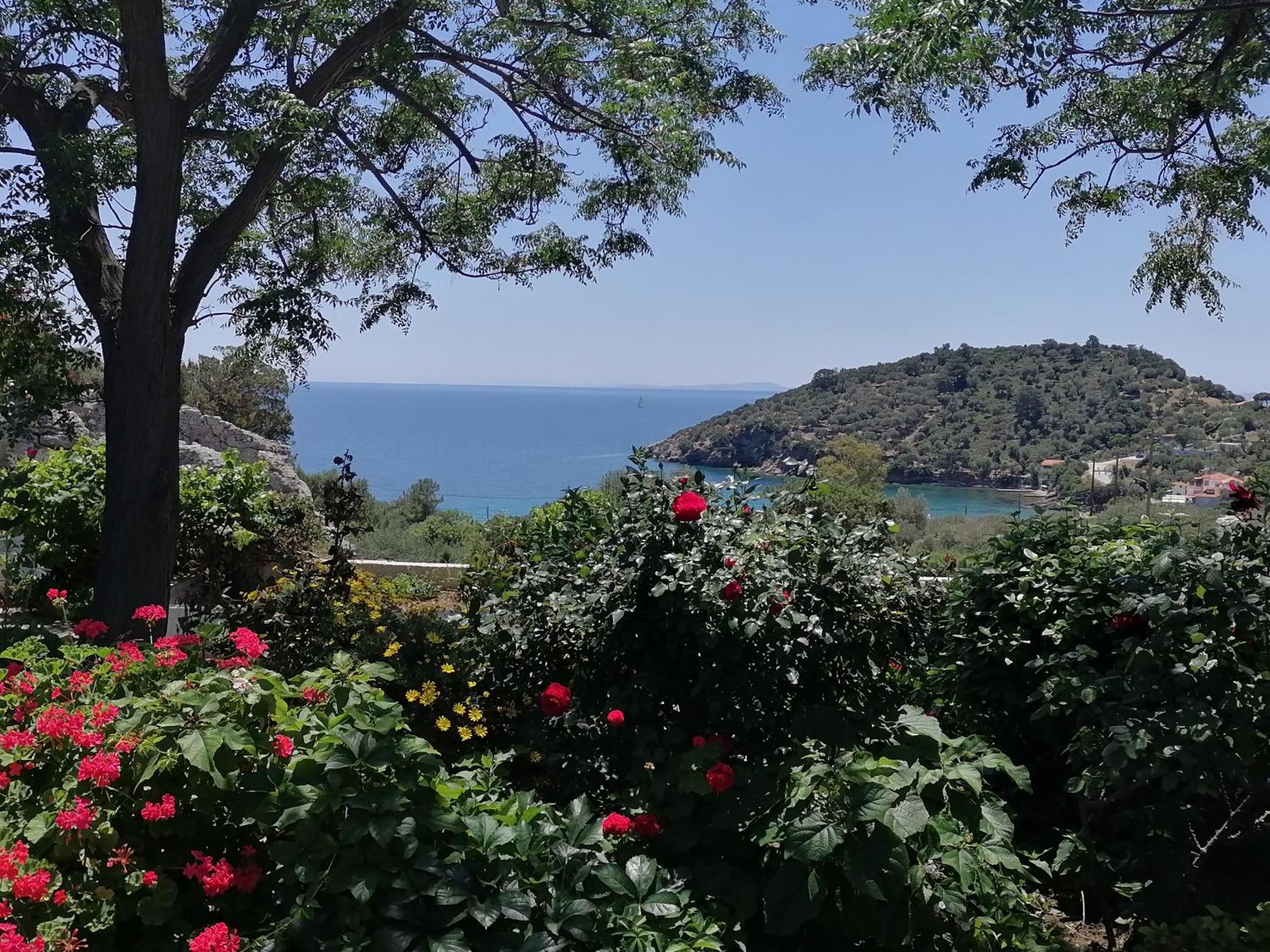 Studios Ioanna Limnionas Samos Marathókampos Extérieur photo
