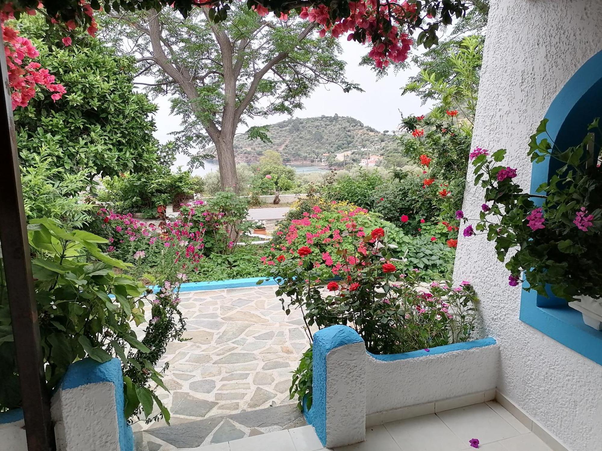 Studios Ioanna Limnionas Samos Marathókampos Extérieur photo