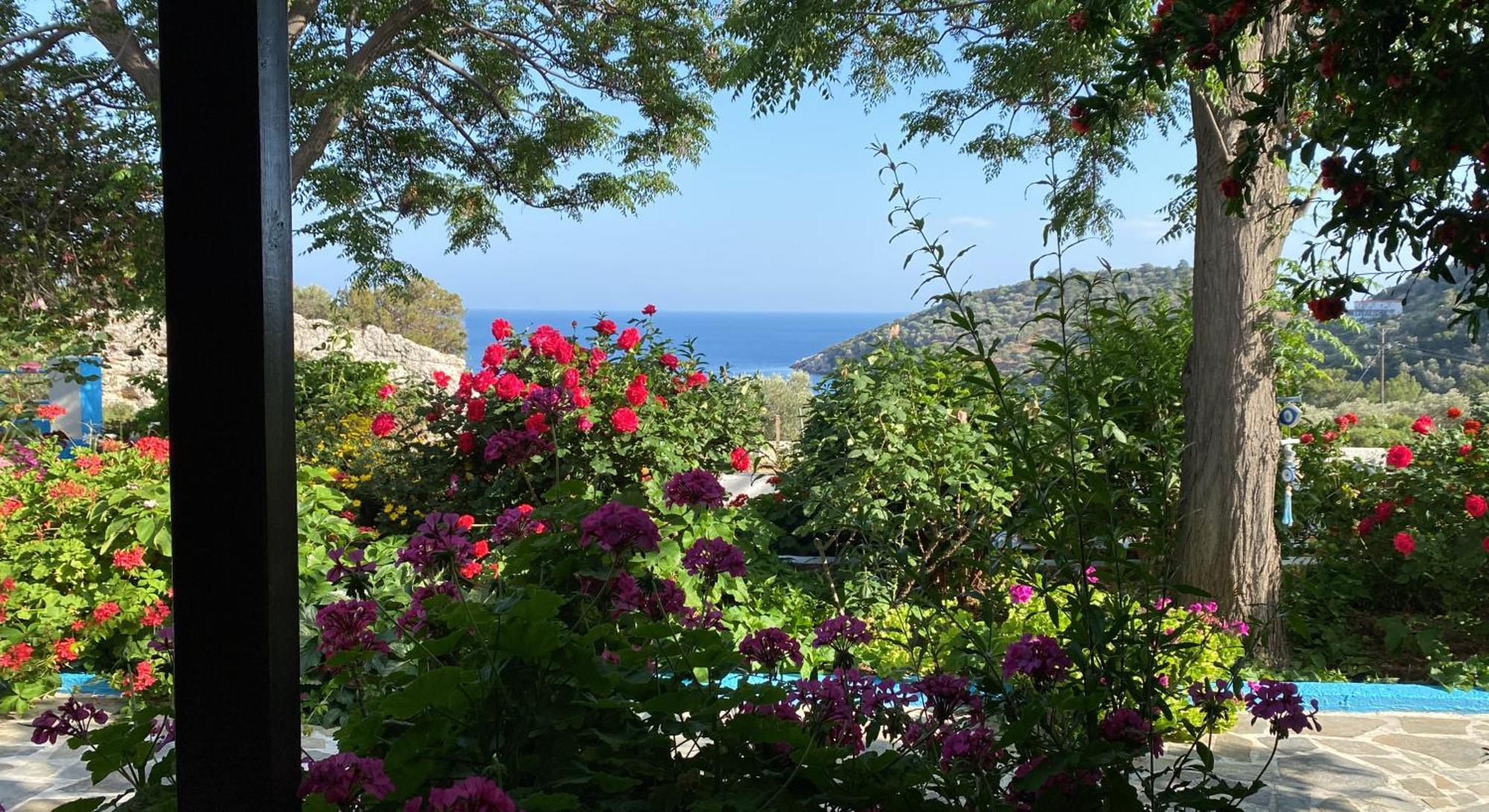 Studios Ioanna Limnionas Samos Marathókampos Extérieur photo