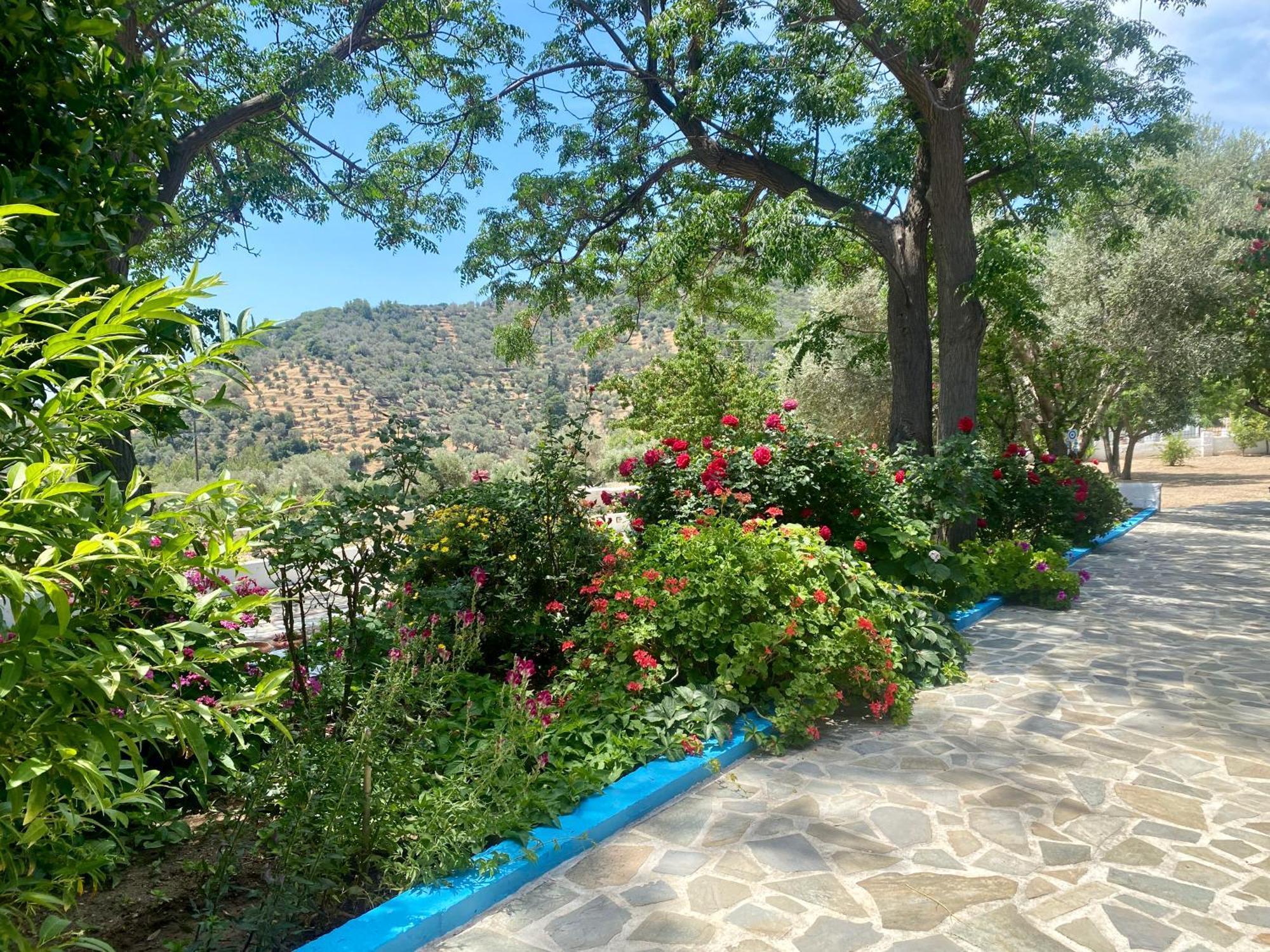 Studios Ioanna Limnionas Samos Marathókampos Extérieur photo
